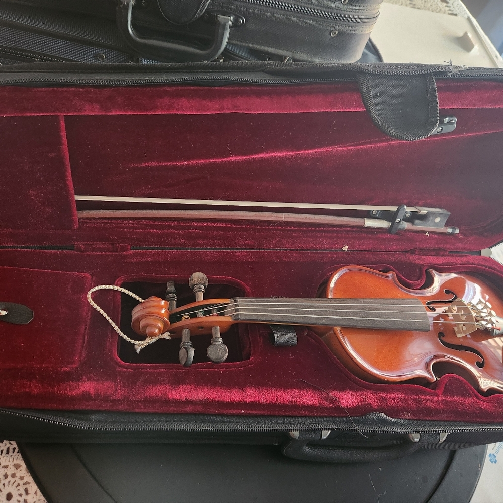 Florea  an 2006 persoana  serie 7129750